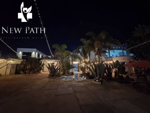 Slider image (2) New Path Ibogaine